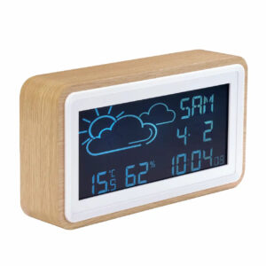 RAD/REL DENVER WS-72 DISPLAY LCD