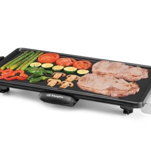 ASADORA ORBEGOZO TB2250 2000W 22X43CM