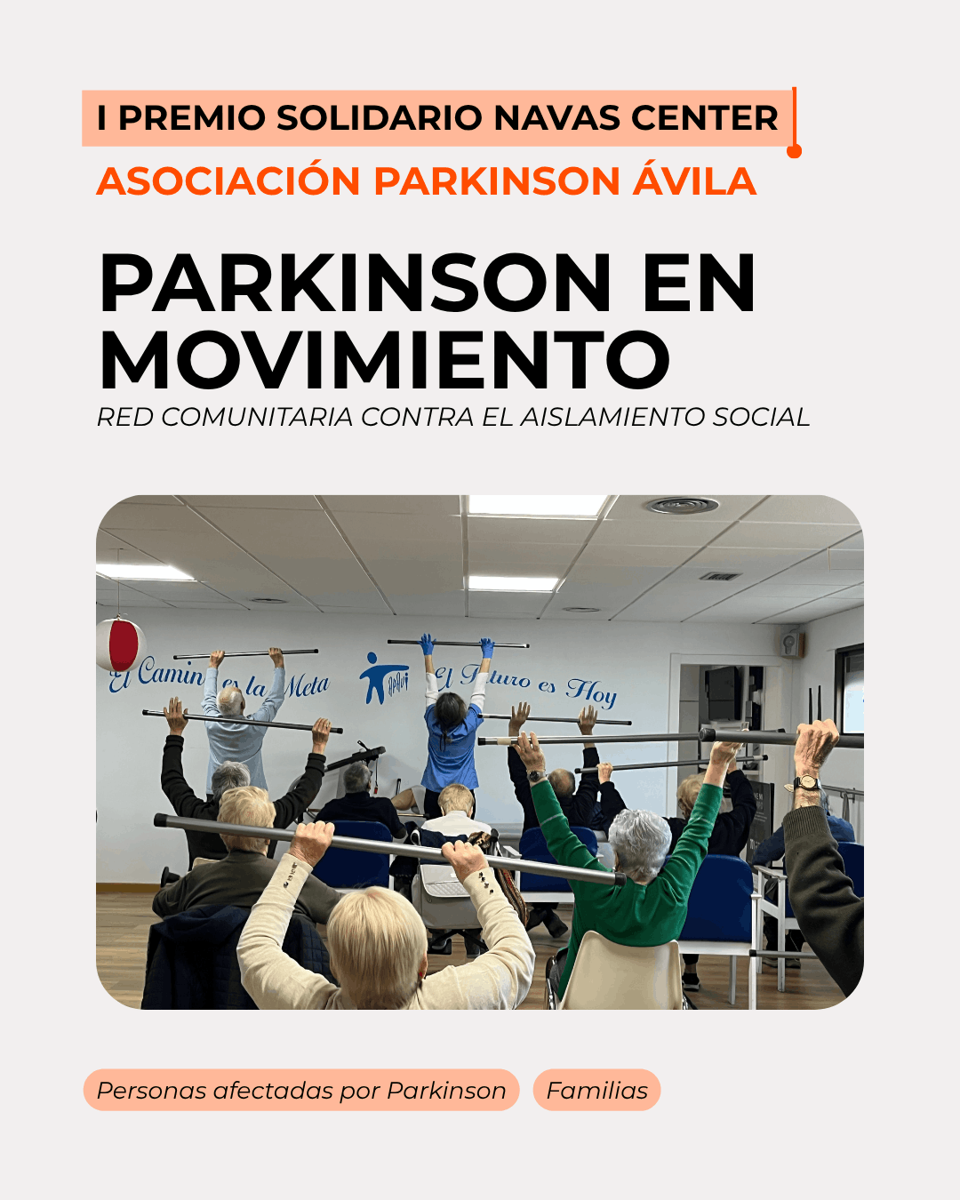Proyecto APAVI
