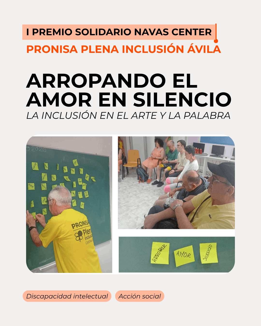 Proyecto PRONISA
